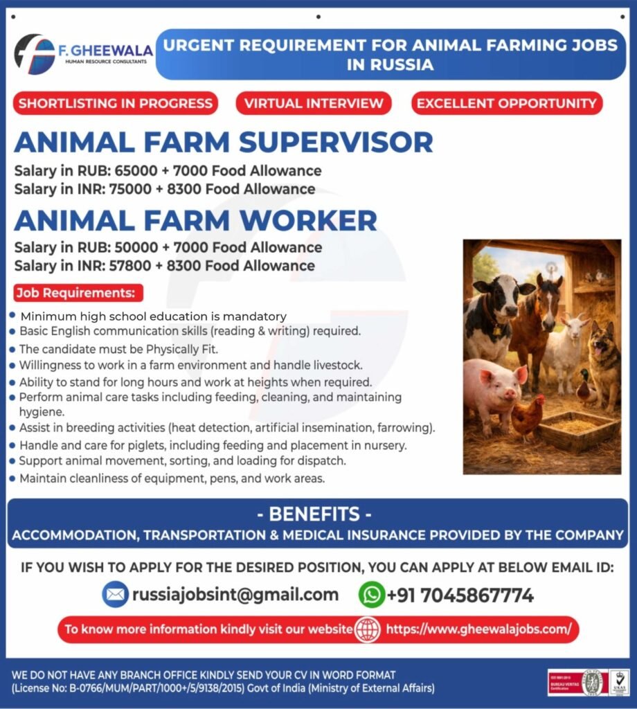 Animal Farming Jobs in Russia 2026 | Apply Now Animal Farming Jobs in Russia 2026 | Apply Now